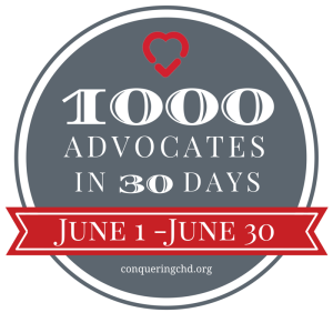 1000 advocates