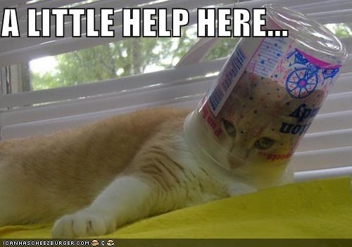 ALittleHelp