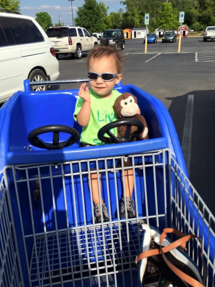 NolanMonkey1
