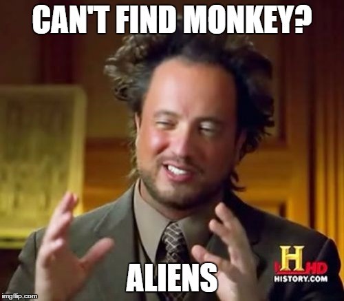 NolanMonkey2