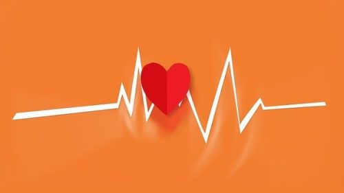 heart